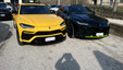 Benedetto Auto Srl